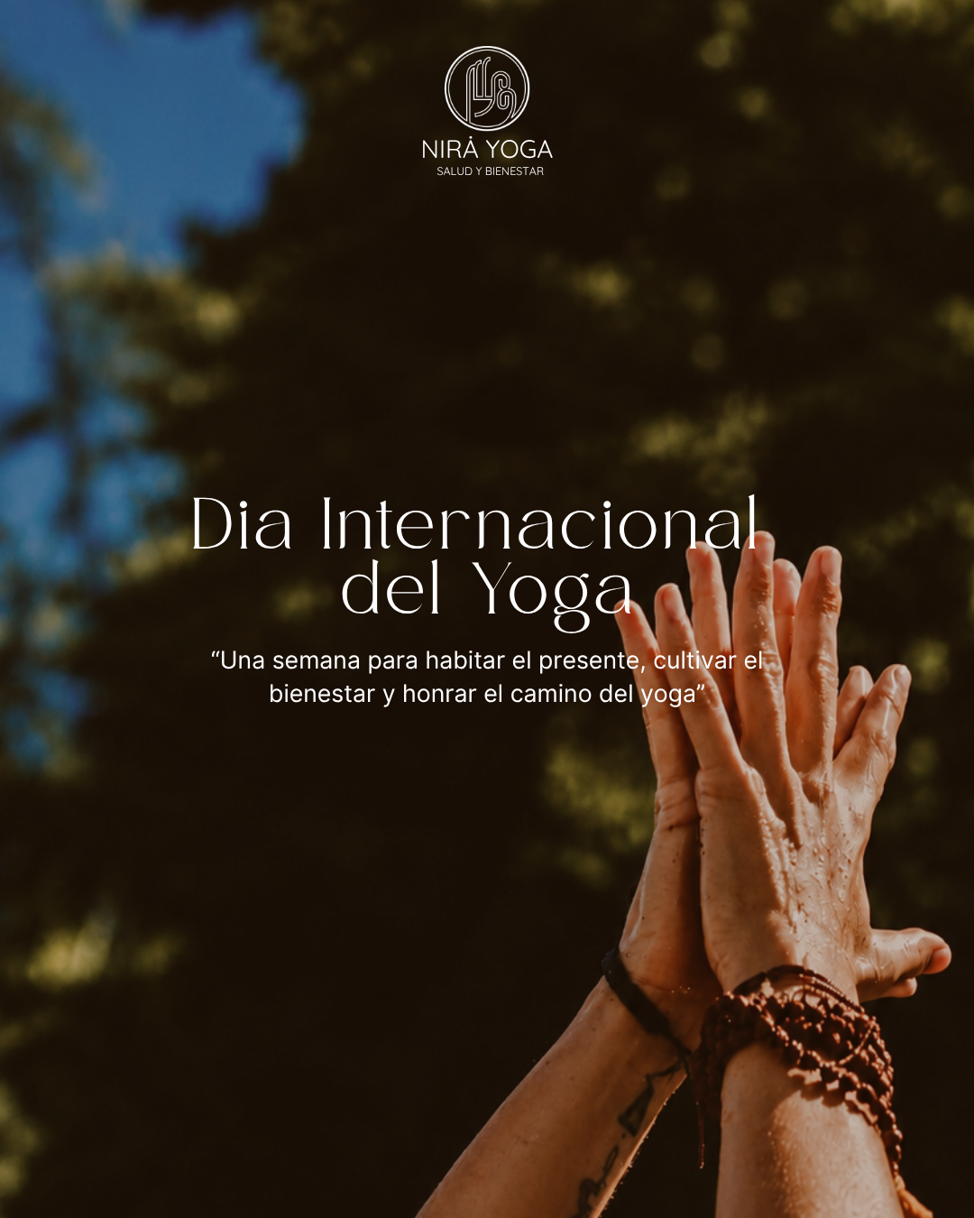 DIA INTERNACIONAL DEL YOGA